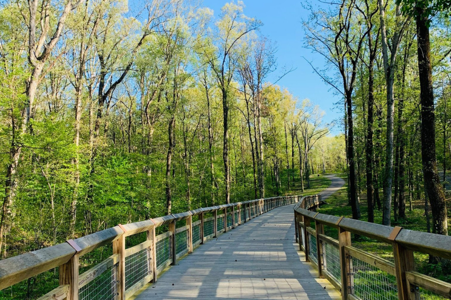 paved walkway through Craighead Forest Park