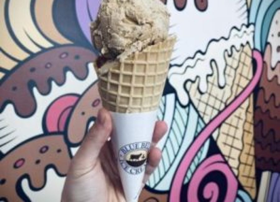 ice cream in waffle cone from Scoops Ice Cream Shop